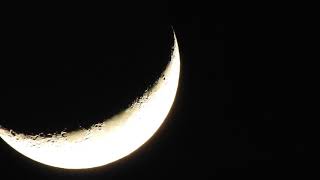 DSCN2777 p900 83x moon