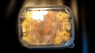 Applebee's Four Cheese Mac & Cheese with Honey Pepper Chicken Tenders ToGo Unpacking Applebee's Four Cheese Mac & Cheese with Honey Pepper Chicken Tenders ToGo Unpacking