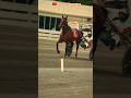 riding a delman horse galloping #shorts #horse #animals #trendingshorts #viral