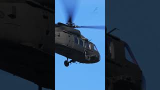 Close-Up: NATO&#39;s Black Transport Helicopter in Flight #short #shorts