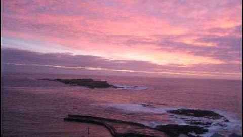 Life as an INTJ-Part 2: INTJs and empathy.