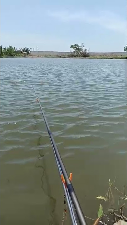 cuaca yg pas untuk mancing