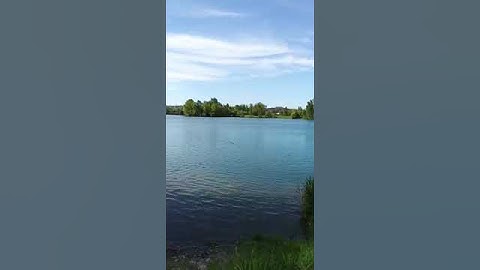 قران كريم كامل #لايك #اكسبلور