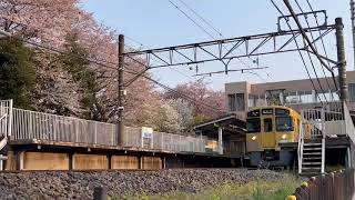 西武鉄道2000系2459F編成 国分寺線東村山行き 鷹の台駅出発 #西武鉄道 #2000系 #前パンタ