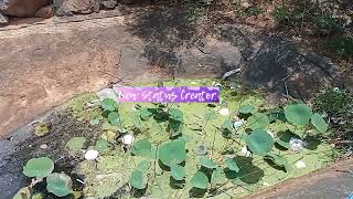 Find Out The Place Eyhu Oru Kovil Kitta Eruki