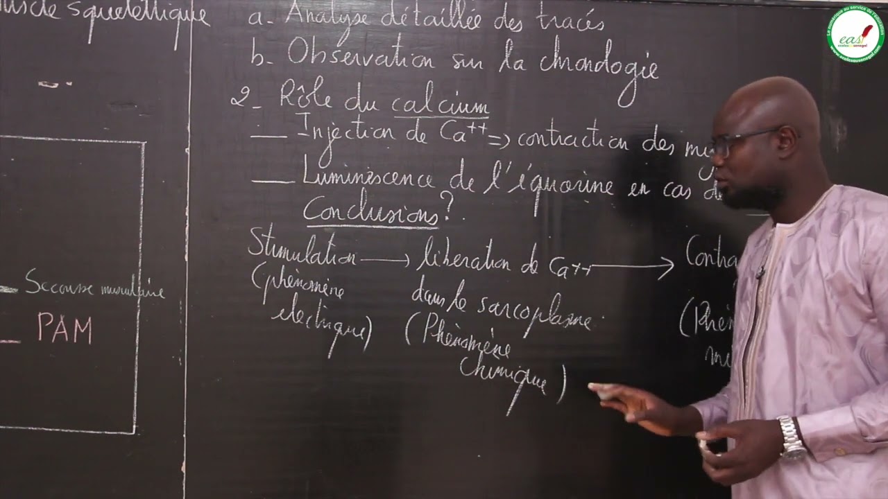 Exercices - Terminale S2 - SVT : Muscle Squelettique / Suite 1 / M. Gnasse