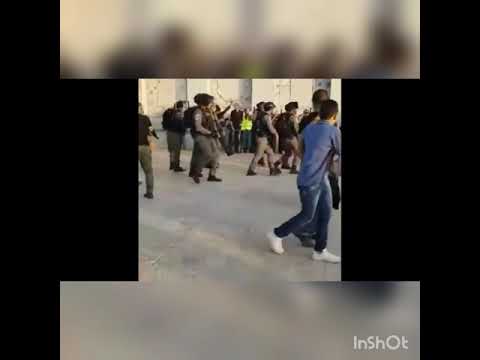 Crewsakan Palestina (cover video)