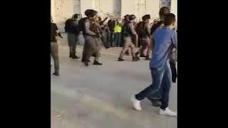 Crewsakan Palestina (cover video)