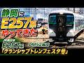 JR東日本E257系OM52編成「グランシップトレンフェスタ号」 静岡駅/清水駅付近 2026/5/17