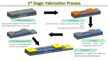 Back Gated Silicon Nanowire FET For Detection of Dengue Virus Ereka