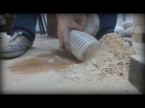 Большой китайский стружкосос.