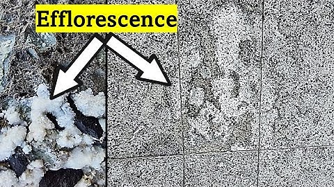 What is Efflorescence on brick or concrete surface
