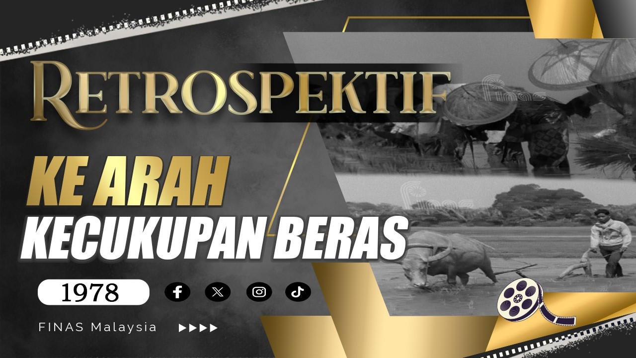 RETROSPEKTIF : KE ARAH KECUKUPAN BERAS (1978)