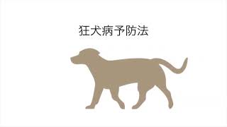 動物看護師統一認定試験　とりあえず３問