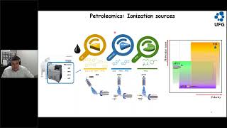 A Journey in Petroleomics  From Asphaltenes to Crude Oils screenshot 1