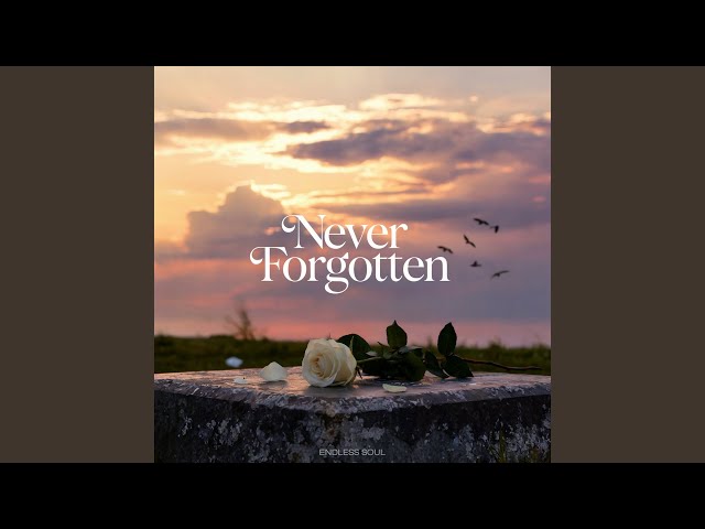 I'll Never Forget You