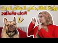 تفسير رؤية الكلب في المنام للرجل المتزوج والاعزب 🐕 تفسير جديد بالتفصيل 👀 ورسالة مهمة ليك 📢