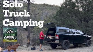 SOLO TRUCK CAMPING w/ my Dogs next to a creek [ relaxing quiet cooking ASMR ]