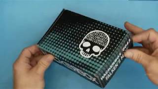 #67 Hacker Box 0043 Falken's Maze