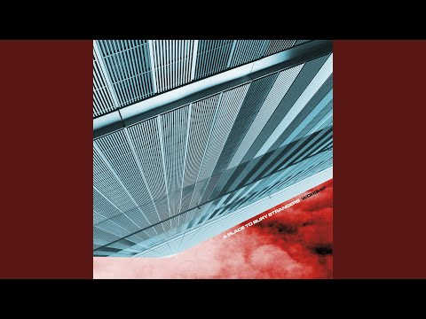 A Place to Bury Strangers — Revenge