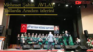 Mehmet Şahin AVLAY Yollarda Aradım izini