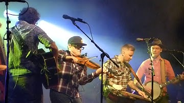 Infamous Stringdusters "Possum"