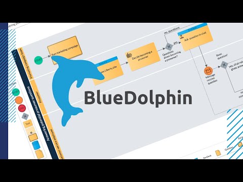 BlueDolphin: Processen
