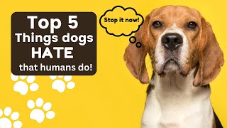 Top 5 Things Dogs Hate That Humans Do