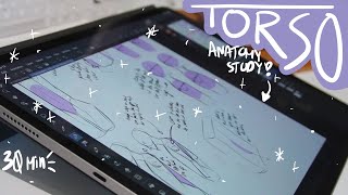 Anatomy Study  Torso // Sketch with Me // ASMR