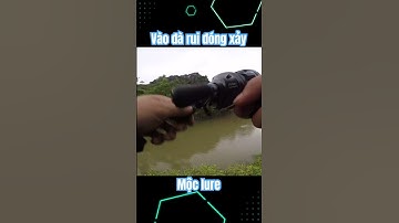 Đóng xảy cá|Câu cá lóc. #caucaloc #cauca #caulure #fishing #moclure #caucagiaitri #youtubeshorts
