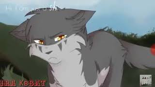 Коты воители клип симпа Коты воители клип симпа