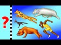 50+ fatti che vi apriranno gli occhi sul mondo animale
