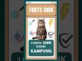 SEHAT DAN KUAT ? FAKTA UNIK KUCING KAMPUNG ! #csinfo #kucing #viralreels #viralshort #faktaunik