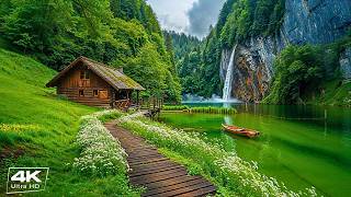 Calm Piano Music 🌿 Nature Sounds and Stress Relief Music for Deep Sleep and Inner Peace
