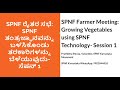 Session 1: Growing vegetables using spnf technology