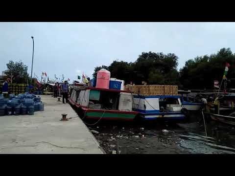Spot Mancing Riau Anniversary 1 Dihadiri Camat Marpoyan Damai Kabar Mancing