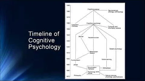 Cognition 1 2 Foundations of Cognitive Psychology - DayDayNews
