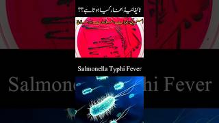 Typhoid Fever:Pathogenesis, Causes, Symptoms, diagnosis, prevention, treatment #shorts #typhoidfever