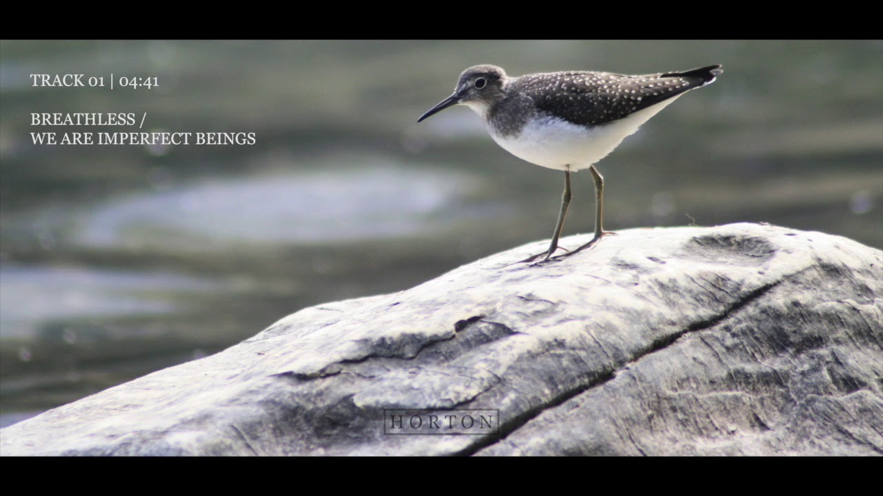 ⁣Horton - Breathless