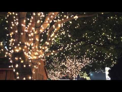 [everysing] 메리-크리 (Merry-Chri)