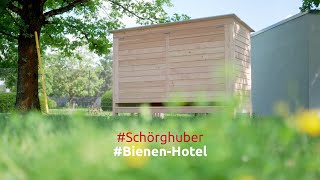 Schörghuber Spezialtüren Biene Bienenprojekt Holz Schreiner Ausbildung