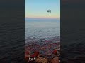 عرفه دورت عليكي ف كل مكان عمرو حسن قصيده 
