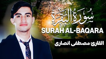 سورة البقرة للقارئ مصطفى انصارئ تلاوة خاشعة و مؤثرة 😌💚Surah Al-Baqara Mustafa Ansari