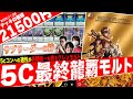超人気デッキが復活‼️新たな剣で