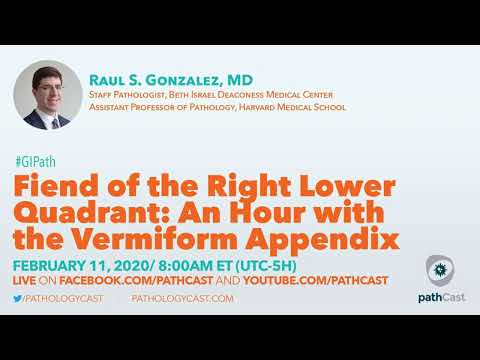 Fiend of the RLQ: An hour with the vermiform appendix - Dr. Gonzalez (BIDMC) #GIPATH