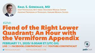Fiend of the RLQ: An hour with the vermiform appendix - Dr. Gonzalez (BIDMC) #GIPATH screenshot 5