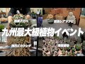 多種多様な植物が集まる九州最大のイベントに潜入してきた[ソフビ][アガベ][ビカクシダ][塊根植物][アロイド][KPS]