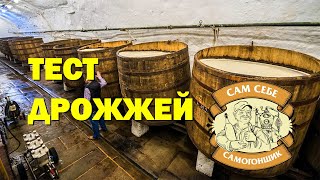 ТЕСТ ДРОЖЖЕЙ САМ СЕБЕ САМОГОНЩИК