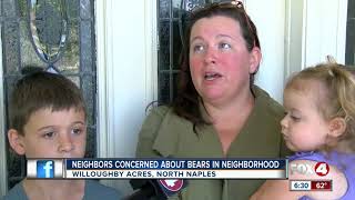 Bears cause stir in North Naples neighborhood