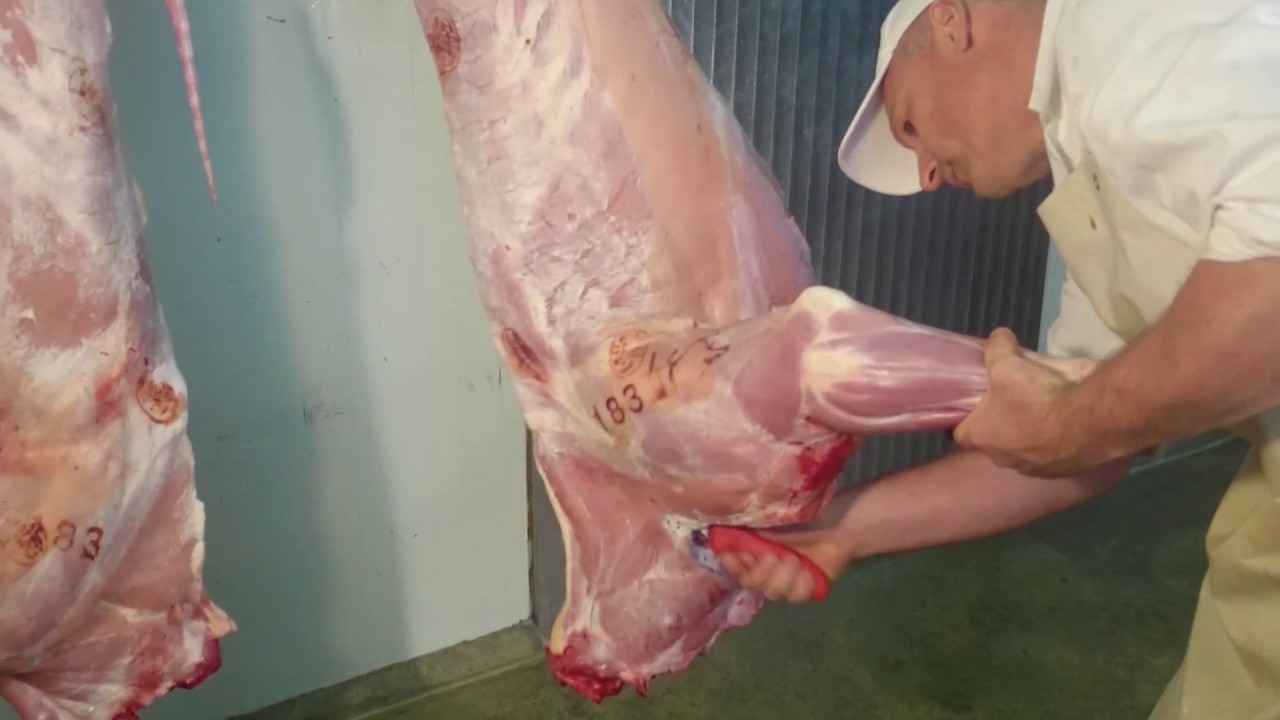 Wie zerlegt man ein Kalb - Teil 1 von 11